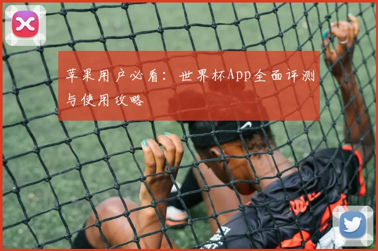 苹果用户必看：世界杯App全面评测与使用攻略