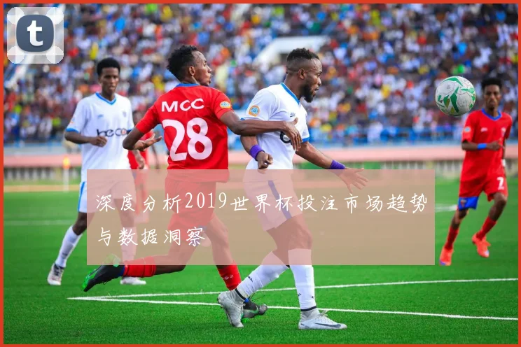 深度分析2019世界杯投注市场趋势与数据洞察