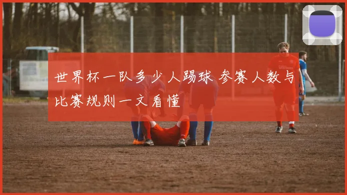 世界杯一队多少人踢球 参赛人数与比赛规则一文看懂