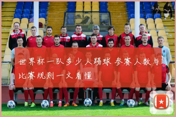 世界杯一队多少人踢球 参赛人数与比赛规则一文看懂