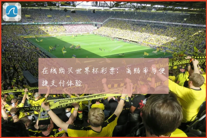 在线购买世界杯彩票:高赔率与便捷支付体验