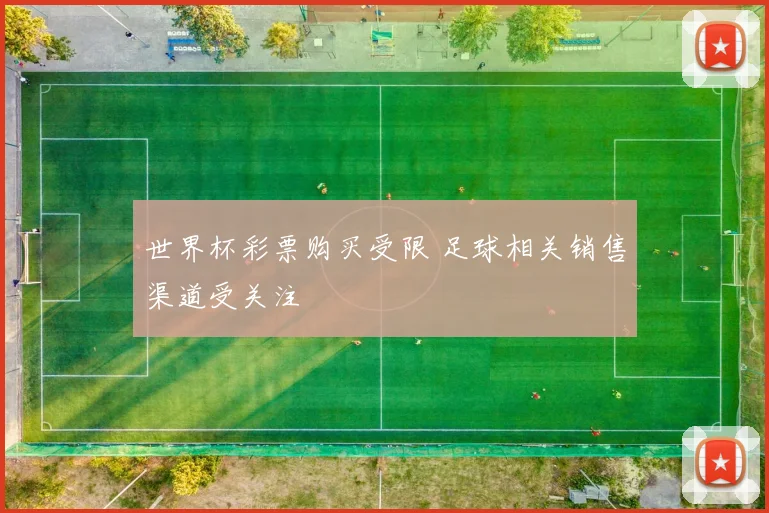 世界杯彩票购买受限 足球相关销售渠道受关注