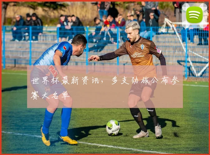 世界杯最新资讯,多支劲旅公布参赛大名单