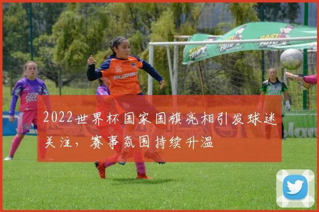2022世界杯国家国旗亮相引发球迷关注，赛事氛围持续升温