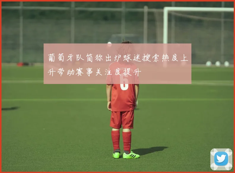 葡萄牙队简称出炉球迷搜索热度上升带动赛事关注度提升