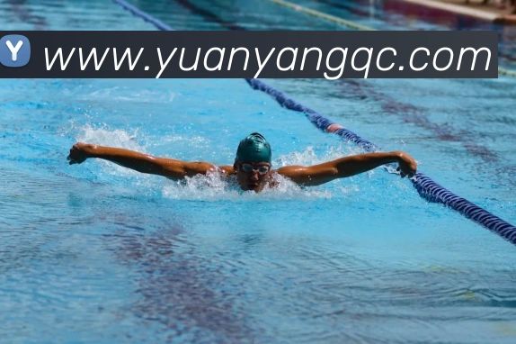 米兰网页版登录入口服务体系